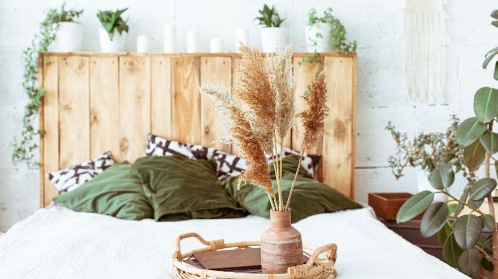 plantas de interior