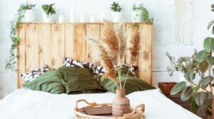 plantas de interior