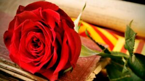 Sant Jordi 2025